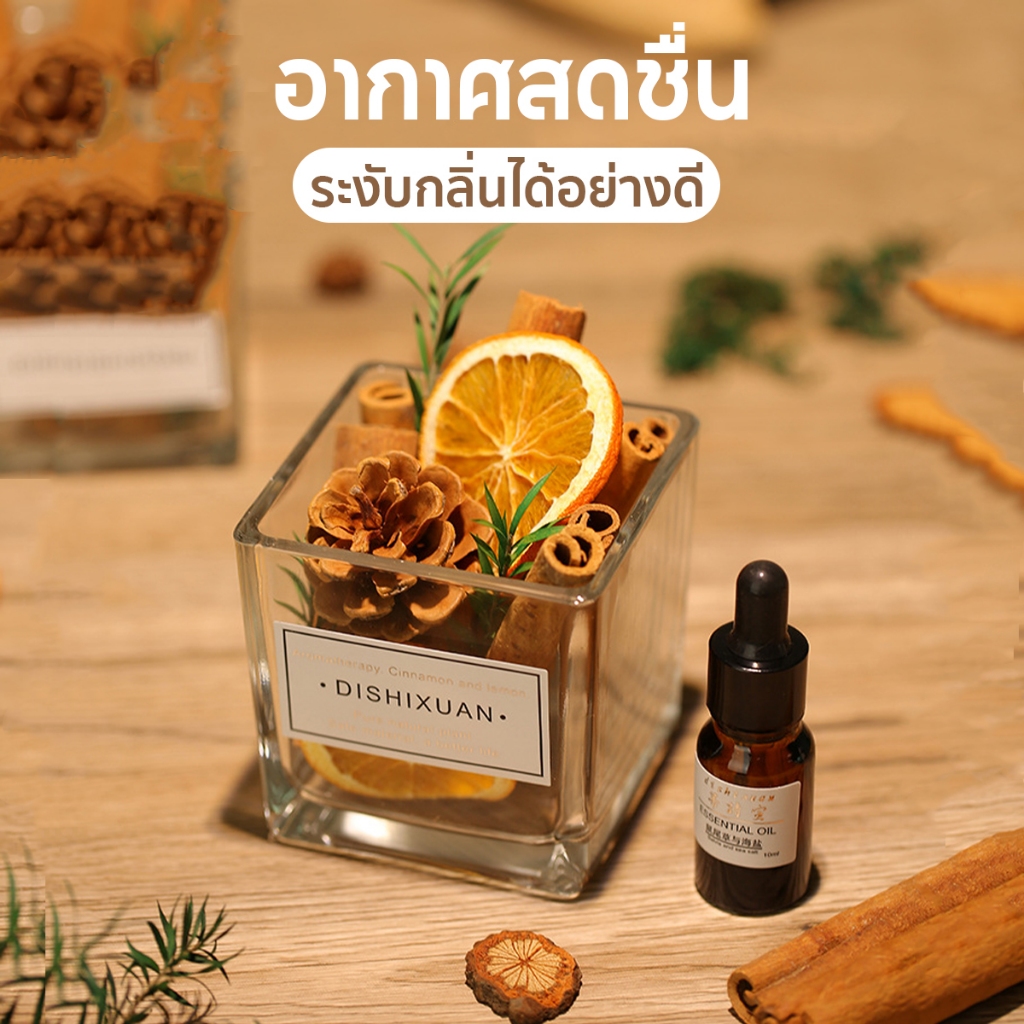 𝓫𝓪𝓫𝓲𝓮𝓶𝓲𝓵𝓭𝔂 ก้านไม้หอม ลูกสน อโรม่า Nature Fragrance Wood Diffuserสําหรับน้ํามันหอมระเหย ไม้บีชวอลนัท100%กลิ่นหอมธรรมชาติ