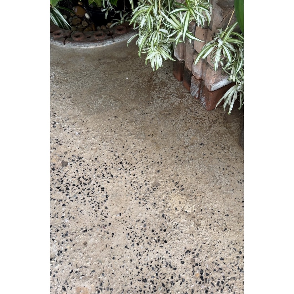 ผงกำจัดตะไคร่น้ำ 1 แถม 1 (PN-001 - 2 กระปุก) กำจัดตะไคร่น้ำแบบมิออาชีพ ตะไคร่น้ำ ไม่เปลืองแรงขัด - รูปที่ 3