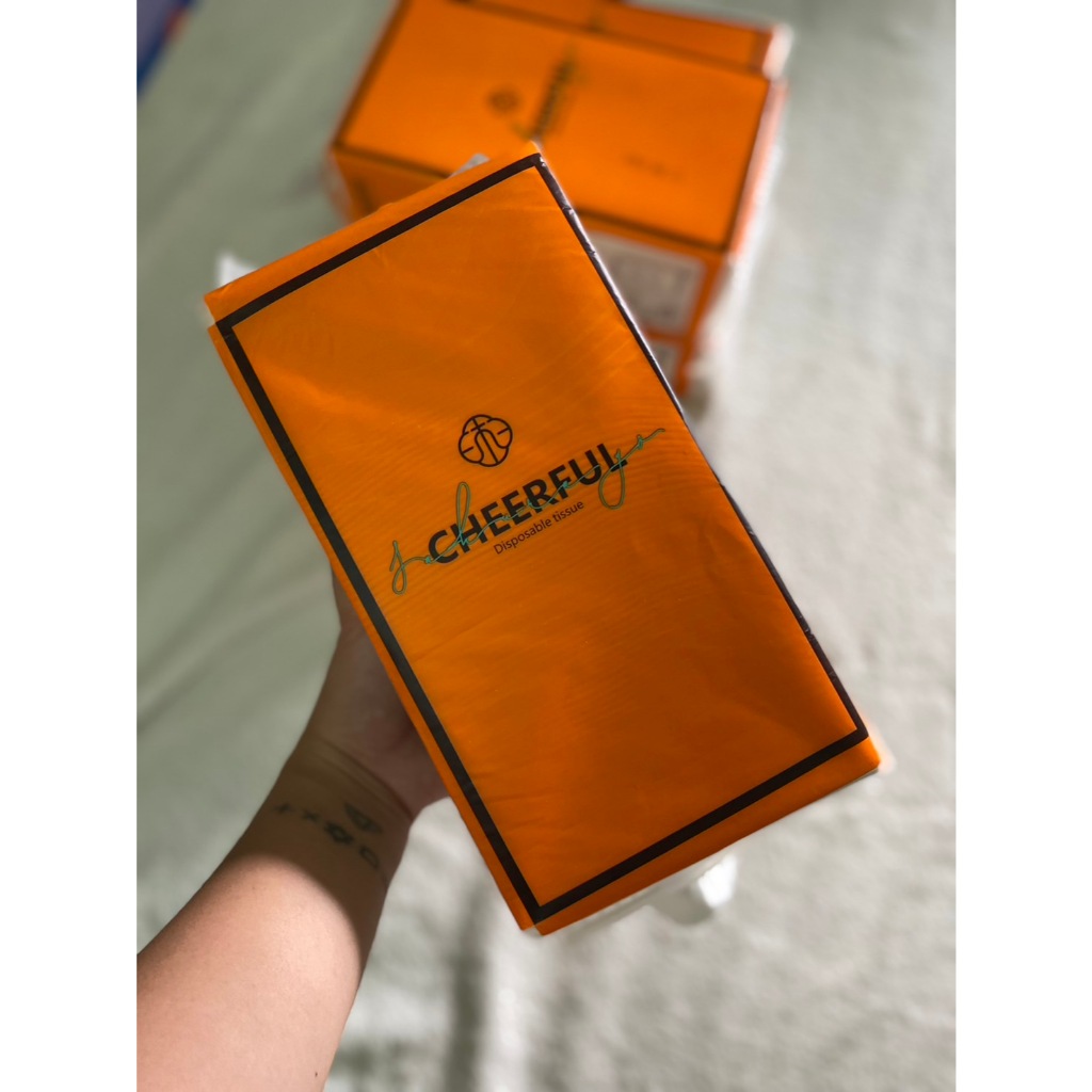 ทิชชู่แบบดึงแขวนได้ หนา 4 ชั้น 300 ดึง สัมผัสนุ่มละมุน ไม่เป็นขุย