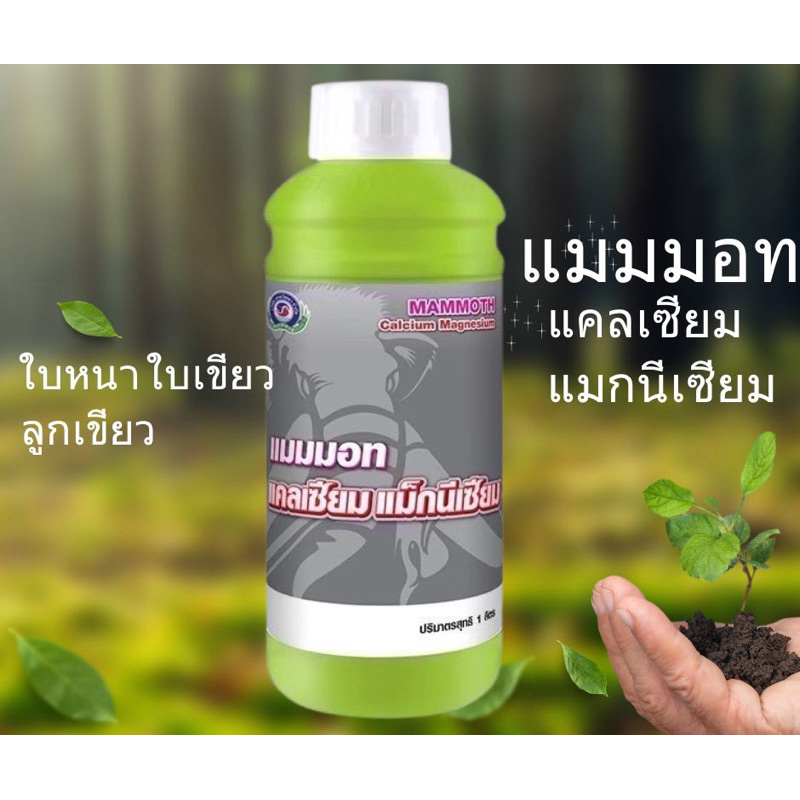 แคลเซียมแมกนีเซียม ใบหนา ใบเขียว เหมาะสำหรับทำใบ // แมมมอท แคลเซียมแมกนีเซียม ขนาด 1 ลิตร