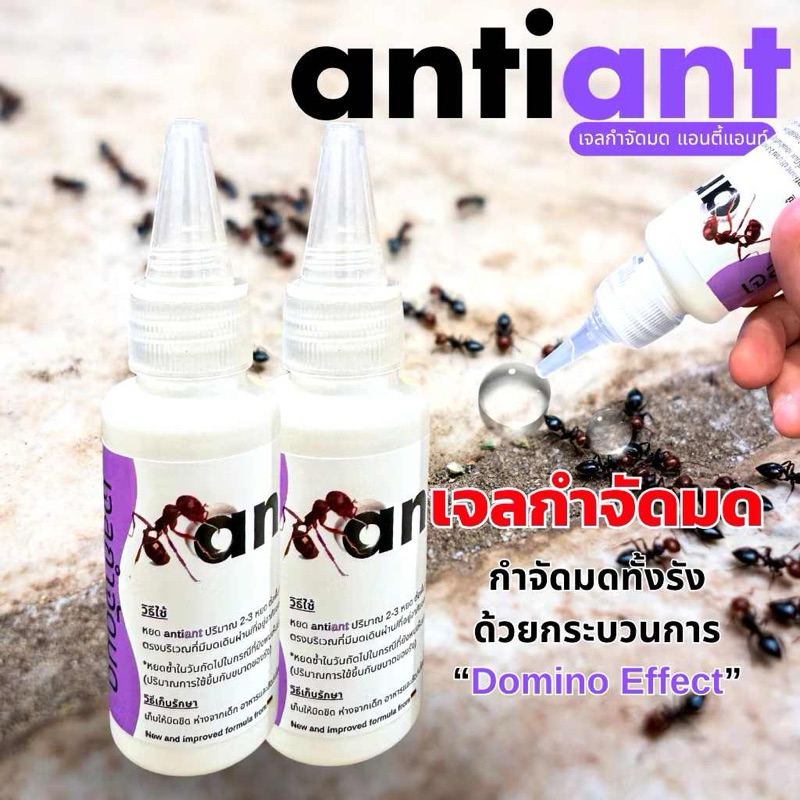 โปร2ขวด ขวดละ50g. เจลกำจัดมดแอนตี้แอนด์ Anti Ant