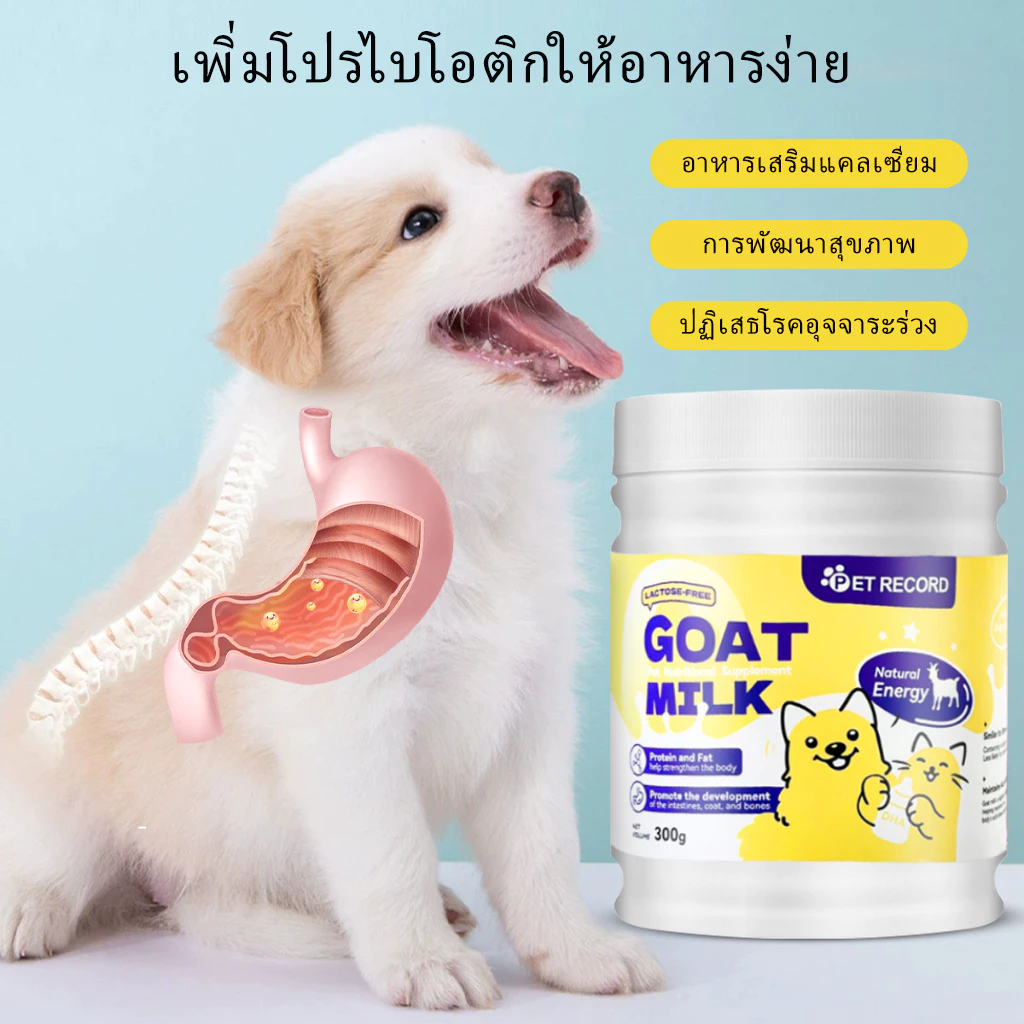 นมแพะผงสัตว์เลี้ยง 300g แมว-สุนัข ย่อยง่าย เสริมภูมิ thumbnail 6