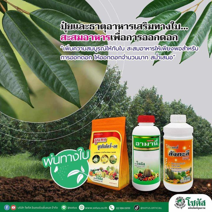 ชุด สะสมอาหาร ทุเรียน อามานี่ ขนาด1ลิตร+ โฟแมกซ์ สังกะสี ขนาด1ลิตร+ นูแทค ซุปเปอร์-เค ขนาด1กิโลกรัม พ่นทางใบ
