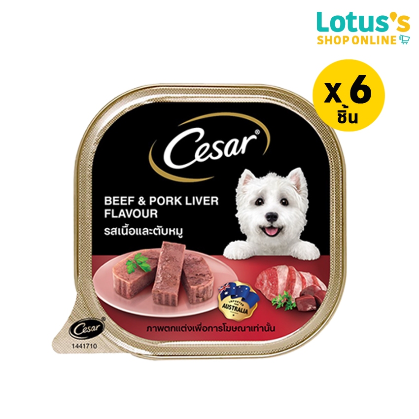 [ทั้งหมด 6 ชิ้น] ซีซาร์ อาหารสุนัข ชนิดเปียก แบบถาด ขนาด 100 กรัม CESAR WET DOG FOOD TRAY TYPE 100 G