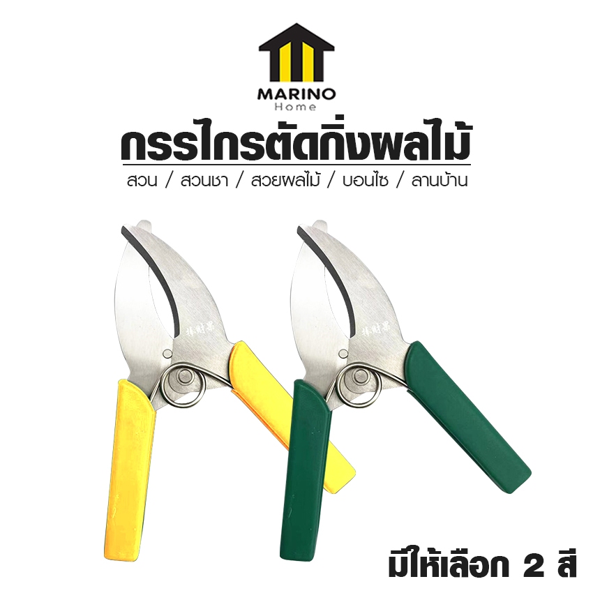 Marino Home กรรไกรตัดผลไม้ กรรไกรวงแหวนตัดแบบแบนสำหรับตัดกิ่ง เพาะชำ แต่งสวน เหล็กคุณภาพ No.Y2081