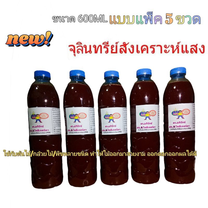 แพ็ค 5 ขวด จุลินทรีย์สังเคราะห์แสง 600 ml