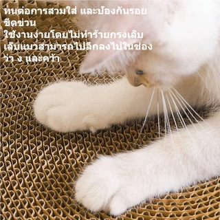ที่ลับเล็บแมว+แคทนิป อ่างลับเล็บ ของเล่นแมว ที่นอนแมว 2 in 1 แผ่นลับเล็บ ที่ฝนเล็บสัตว์เลี้ยง