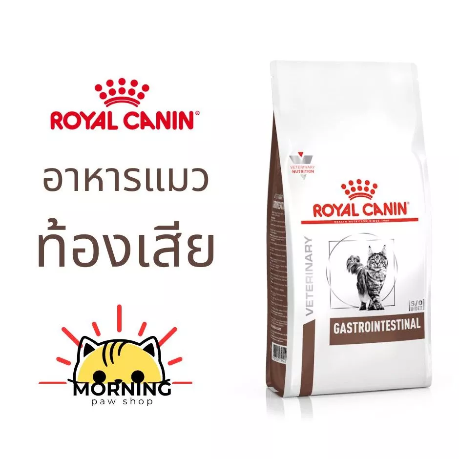 แมวท้องเสีย Royal Canin GASTROINTESTINAL CAT 400 g/2 kg แมวโตท้องเสีย อาหารแมวประกอบการรักษาโรคทางเดินอาหาร ชนิดเม็ด