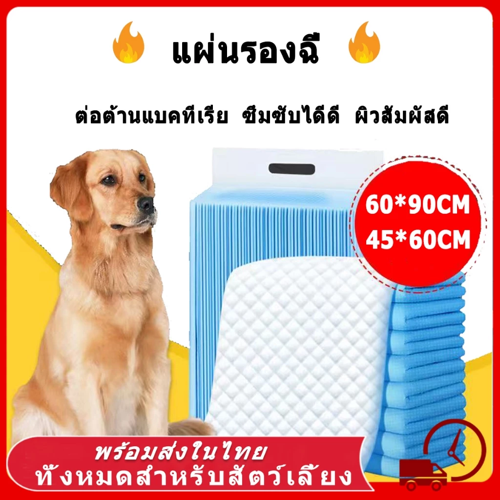 แผ่นรองฉี่สุนัข 2 ชั้น ต่อต้านแบคทีเรีย ซึมซับดี