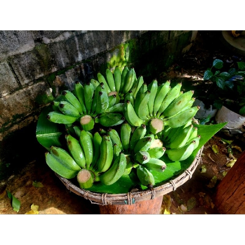 กล้วยน้ำว้าดิบ ปลอดสารพิษ 1หวี 25 บาท