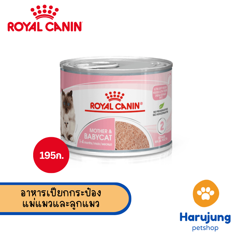 Royal Canin อาหารแม่แมว และลูกแมว ชนิดเปียก (MOTHER & BABYCAT MOUSSE)