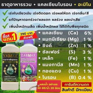 โปร 1 แถม 1 (ปุ๋ยธาตุรวม VAMAX + CABMAX แคลเซียมโบรอน) ปลอดภัยขึ้นทะเบียนอย่างถูกต้อง (V1+C1)