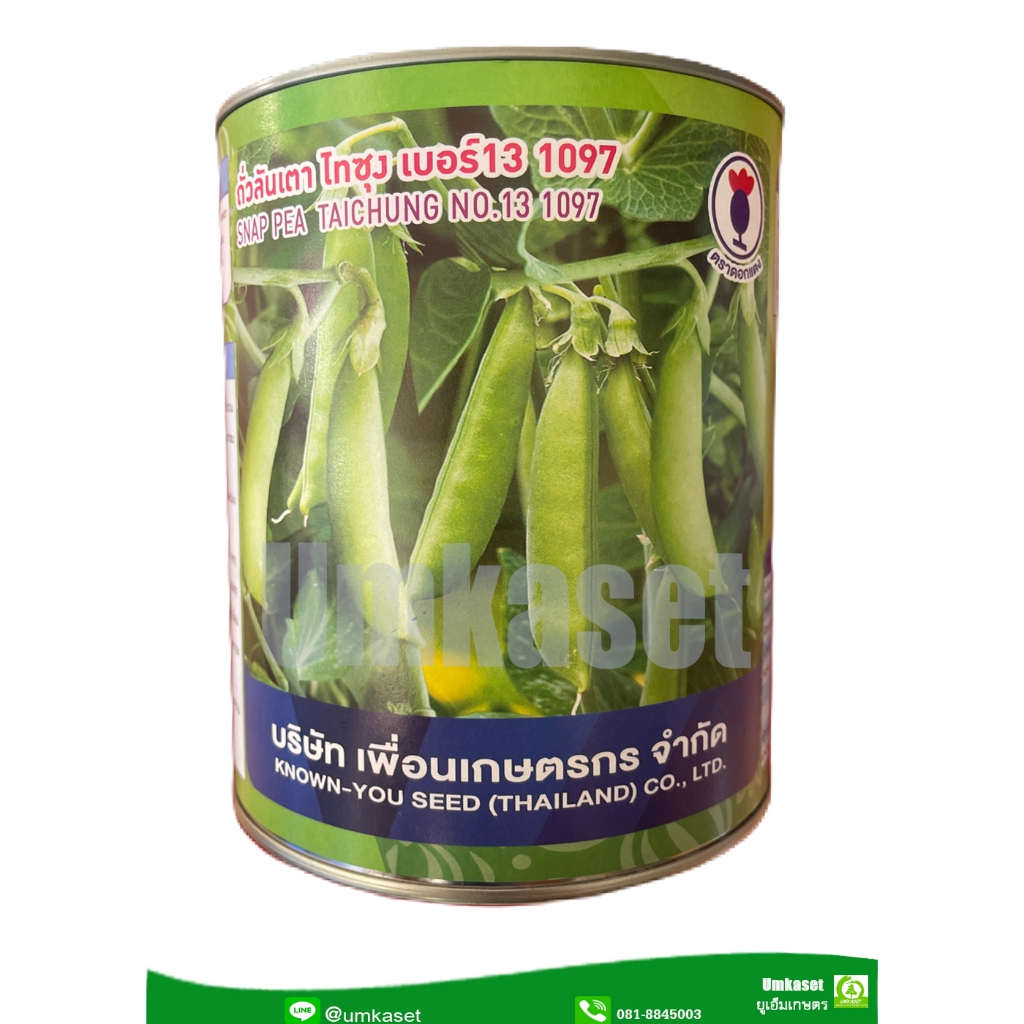 ถั่วลันเตาหวาน ไทซุงเบอร์ 13 1097 (500 กรัม)/เพื่อนเกษตรกร