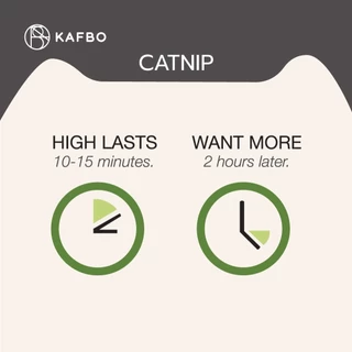 KAFBO Catnip แคทนิป ชนิดซอง สมุนไพรแมว