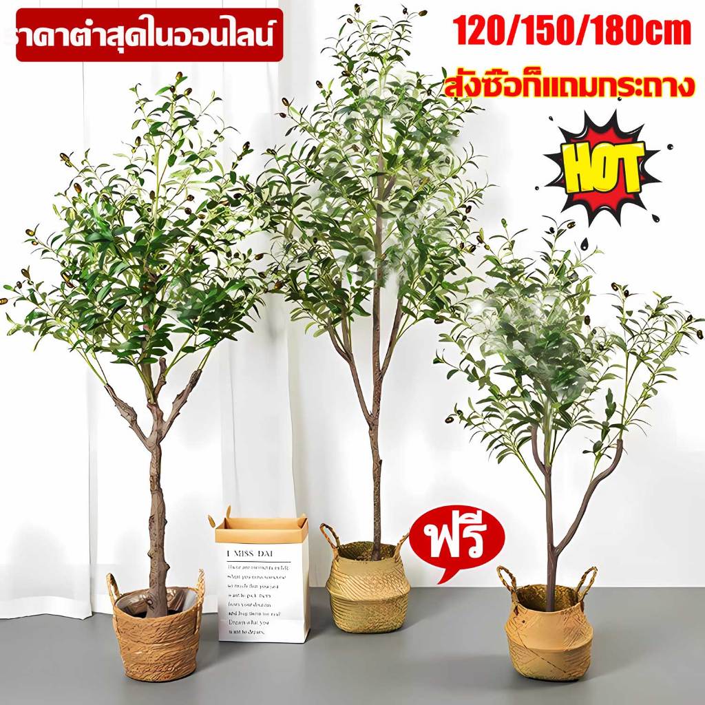 🌴ความจำลอง 99.9%🌴120/150/180cm ต้นไม้ปลอม ต้นโอลีฟ ต้นมะกอกปลอม สไตล์นอร์ดิกอิน ไม่ต้องบำรุงรักษา