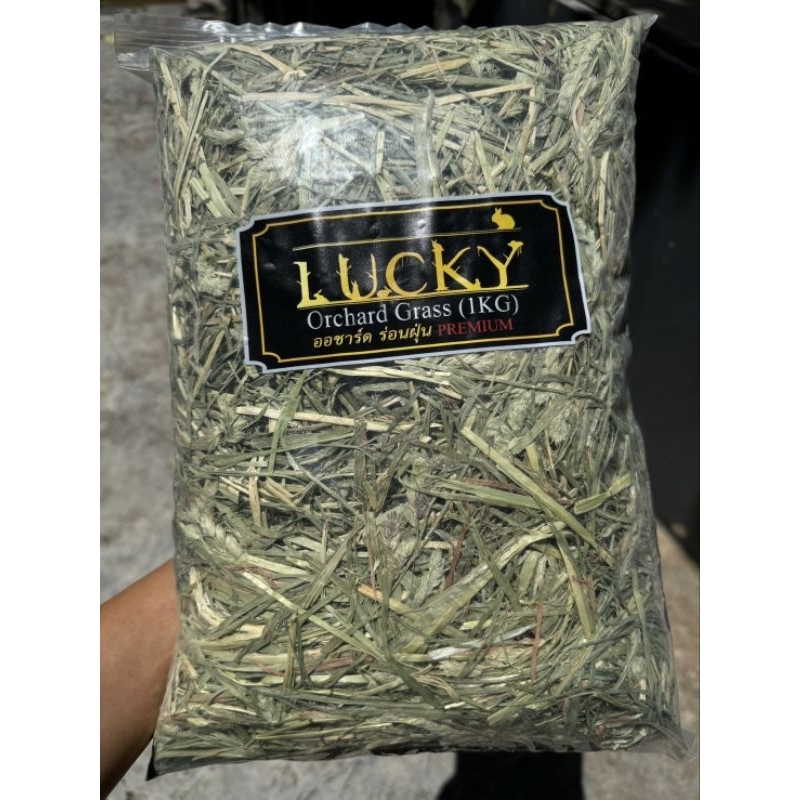 หญ้าออชาร์ด (Orchard Grass) แบรนด์Lucky ไฟเบอร์สูง เส้นนุ่ม กลิ่นหอม กระตุ้นความอยากอาหาร (ถุง1กิโล)