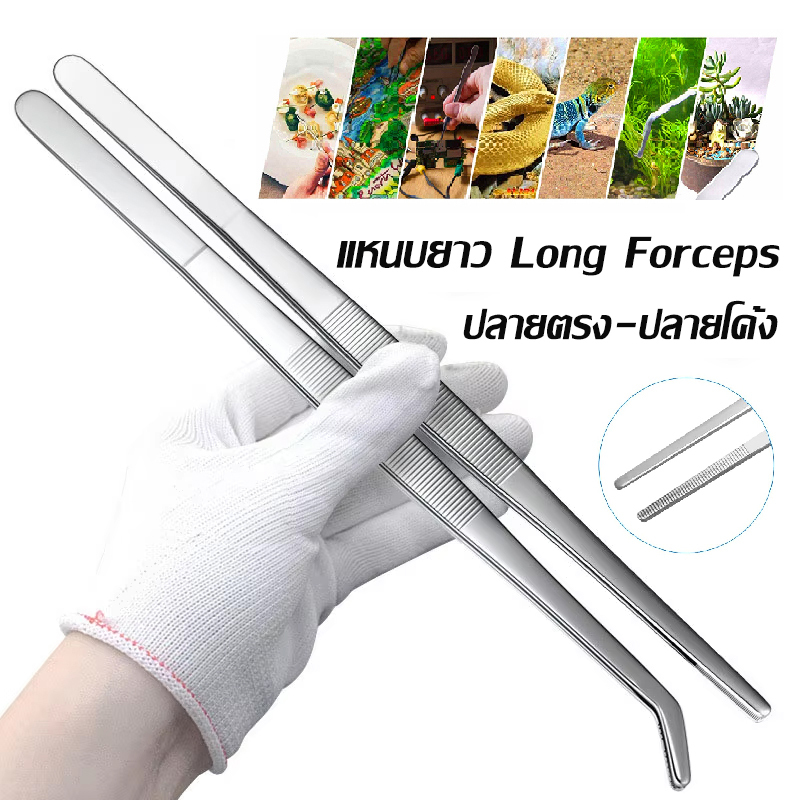 แหนบยาว ปากคีบ Long forceps ฟอเซปยาว สแตนเลส แหนบตกแต่งตู้ปลา ปลายตรง-ปลายโค้ง ส่งจากไทย