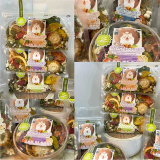 Chintrovert ✨(ส่งใน2-5วัน)อาหารธัญพืชGrains&Extra 6 สูตร120g.-270g. อาหารแฮมเตอร์ทุกสายพันธุ์ แฟตเทล ดอร์เมาท์ หนูดัมโบ