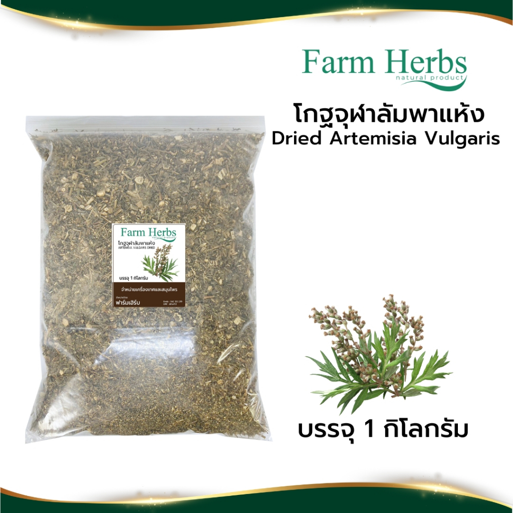 โกฐจุฬาลัมพาแห้ง Dried Artemisia vulgaris ตราฟาร์มเฮิร์บ ขนาด 1 กิโลกรัม (FHR0127027)