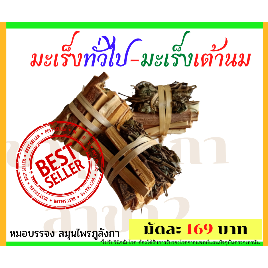 สมุนไพร ก้อนเนื้อ มะ เร็ง **ชาภูลังกา คนทานรู้สึกได้เองว่าดีขึ้น