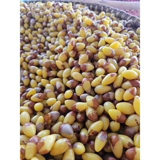 แปะก๊วยต้ม เกรดA สดใหม่ทุกวัน สะอาด อร่อย ไม่ขม ราคาโรงงาน 1kg.