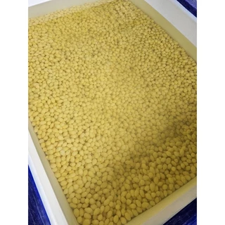 แปะก๊วยต้ม เกรดA สดใหม่ทุกวัน สะอาด อร่อย ไม่ขม ราคาโรงงาน 1kg.