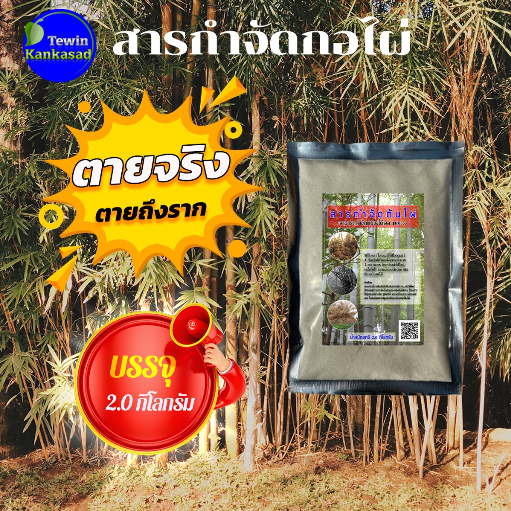 สารกำจัดกอไผ่ สินค้าผลิตในประเทศไทย สามารถฆ่ากอไผ่ได้ผลจริง ต้นไผ่ตายถึงราก บรรจุ 2.0 กิโลกรัมผล 100%