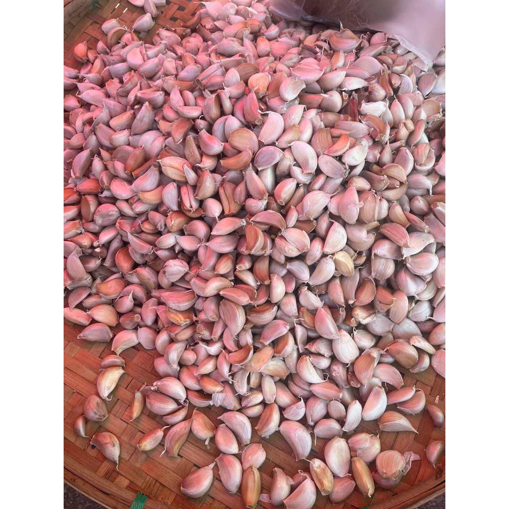 กระเทียมแกะกลีบ (กระเทียมจีน) สวยๆไม่ฝ่อ พร้อมจัดส่ง 1กิโลกรัม