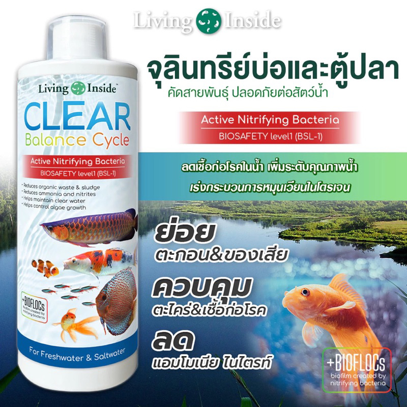 Beneficial Bacteria for Pond and Fish Tank Living inside
