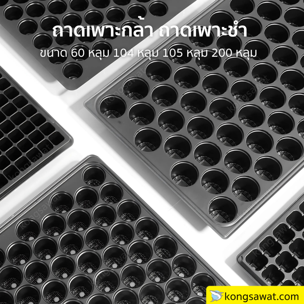 ถาดเพาะกล้า ถาดเพาะเมล็ด ถาดเพาะชำ High Pressure