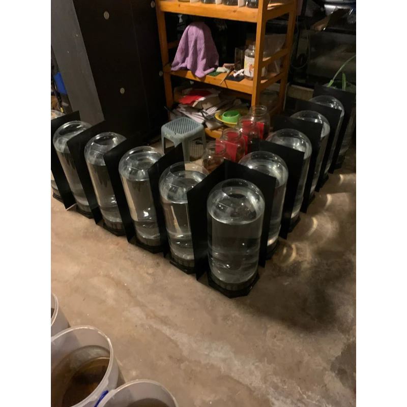 โหลพาลปลากัด ขนาด 20 L