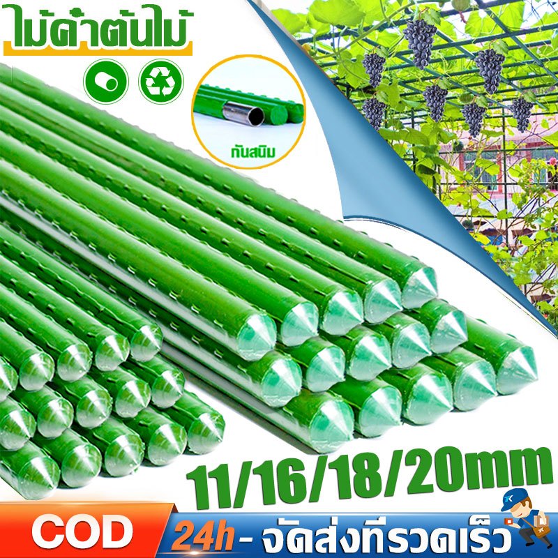 ไม้ค้ำต้นไม้ เสาปลูกผัก ยาว60 - 180ซม เสามะเขือเทศ หลักไม้เลื้อย โครงไม้เลื้อย ไม้ค้ำยันต้นไม้ เสาค้ำต้นไม้ โครงปลูกผัก