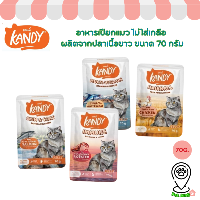 Kandy แคนดี้ อาหารเปียกแมว ไม่ใส่เกลือ ผลิตจากปลาเนื้อขาว ขนาด 70 กรัม