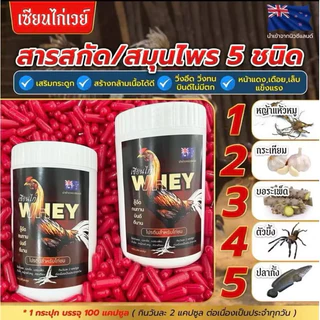 💪🏽🐔เซียนไก่เวย์ โปรตีนไก่ชน บินดีไม่มีตก วิ่งอืด บำรุงไก่ชน เสริมกระดูก #เซียนไก่การันตี🐓