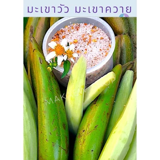 ผลไม้ป่ามะเขาวัวมะเขาควายสดและดอง จาก อ.บ่อเกลือ น่าน แถมน้ำจิ้มพริกเกลือรสแซ๊บ ปอกเปลือกก่อนทานนะคะ