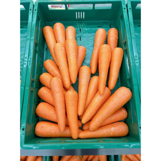 แครอทสด(คัดเกรด+มีส่งด่วน)แครอท แครอทนอกแครอทสีส้ม แครอท สดใ…