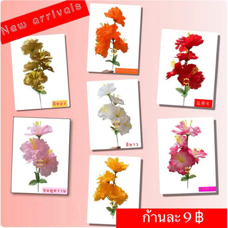 ดอกชบา ช่อดอกชบา หัวดอกชบา