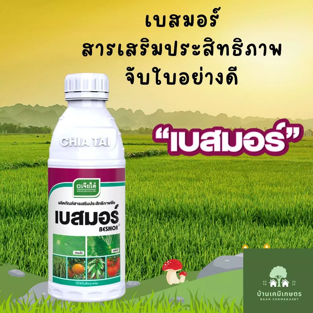 เบสมอร์ สารเสริมประสิทธิภาพ จับใบ ขนาด 1 ลิตร