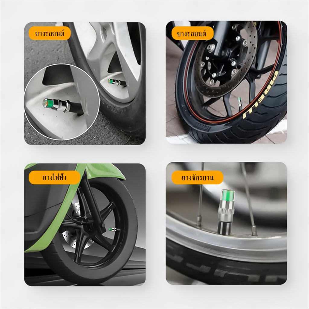 รูปภาพ 6