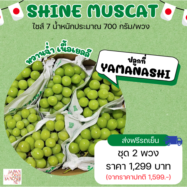 Shine muscat grape  size 7 ชุด 2 พวง ไชน์มัสคัส ไชน์มัสแคท องุ่นญี่ปุ่น