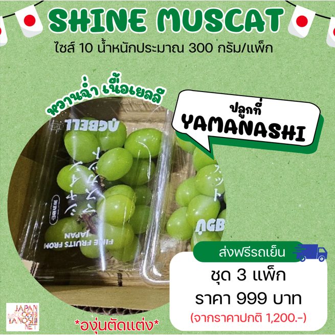 Shine muscat grape (ตัดแต่ง) size 10 ชุด 3 แพ็ก ไชน์มัสคัต ไชน์มัสแคท องุ่นญี่ปุ่น