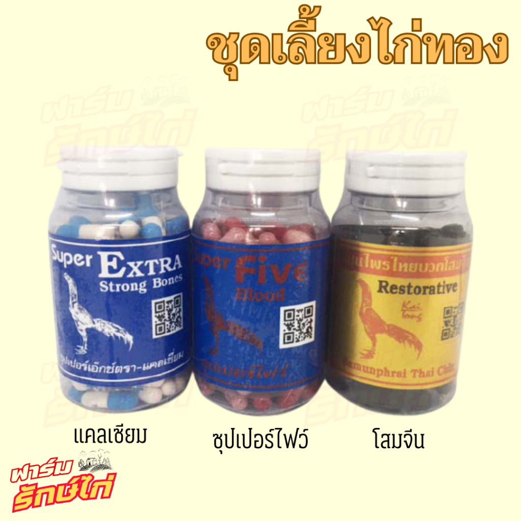 ไก่ทอง oาหารเสริมสำหรับไก่ บำรุงแคลเซียม โสมจีน