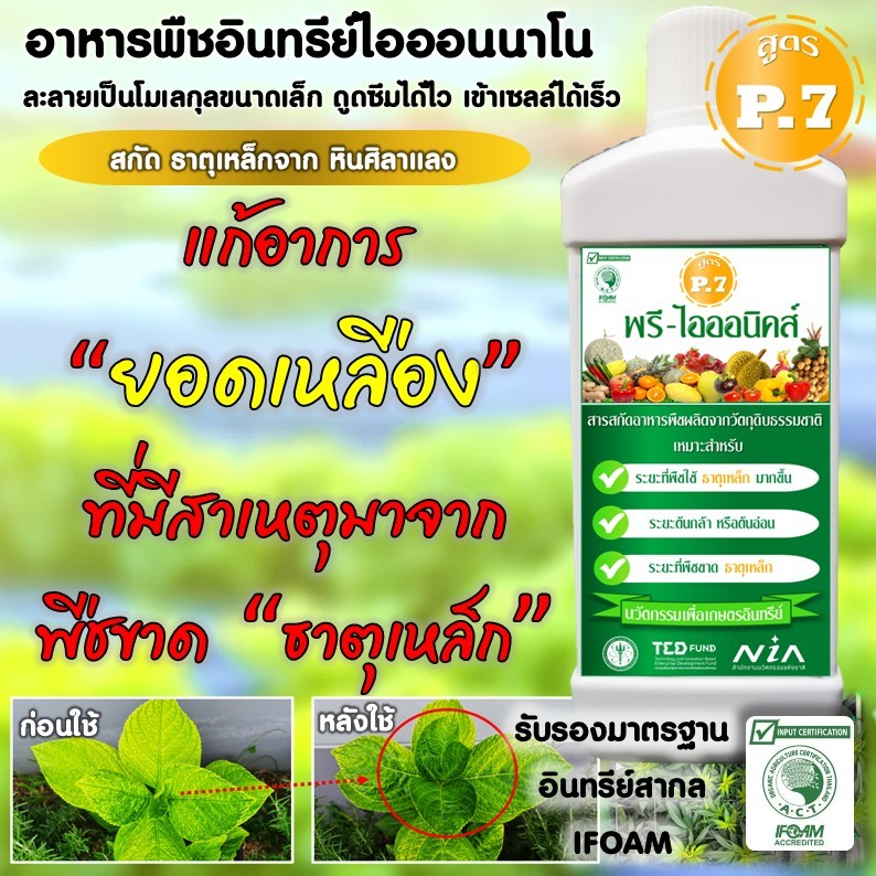 สารสกัดอาหารพืช (สูตรP7) ทดแทน ธาตุเหล็กเคมี สำหรับปลูกพืชอินทรีย์ รับรองมาตรฐานอินทรีย์ IFOAM