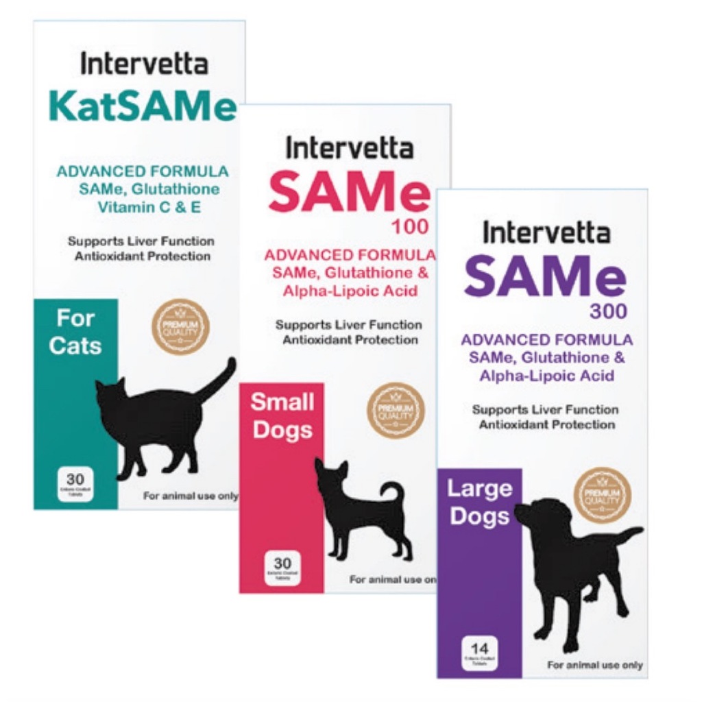 KatSAMe Intervetta อาหารเสริมเพื่อการบำรุงตับขั้นสูง สำหรับแมว (Samylin) - รูปที่ 2