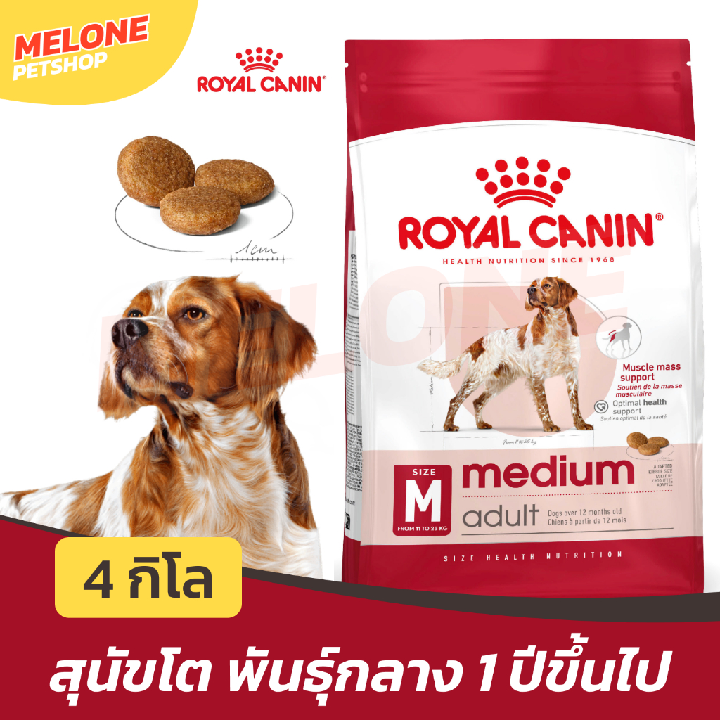 Royal Canin Medium Adult รอยัลคานิน อาหาร สุนัขโต พันธุ์กลาง อายุ 12 เดือน – 7 ปี ขนาด 4 กิโลกรัม