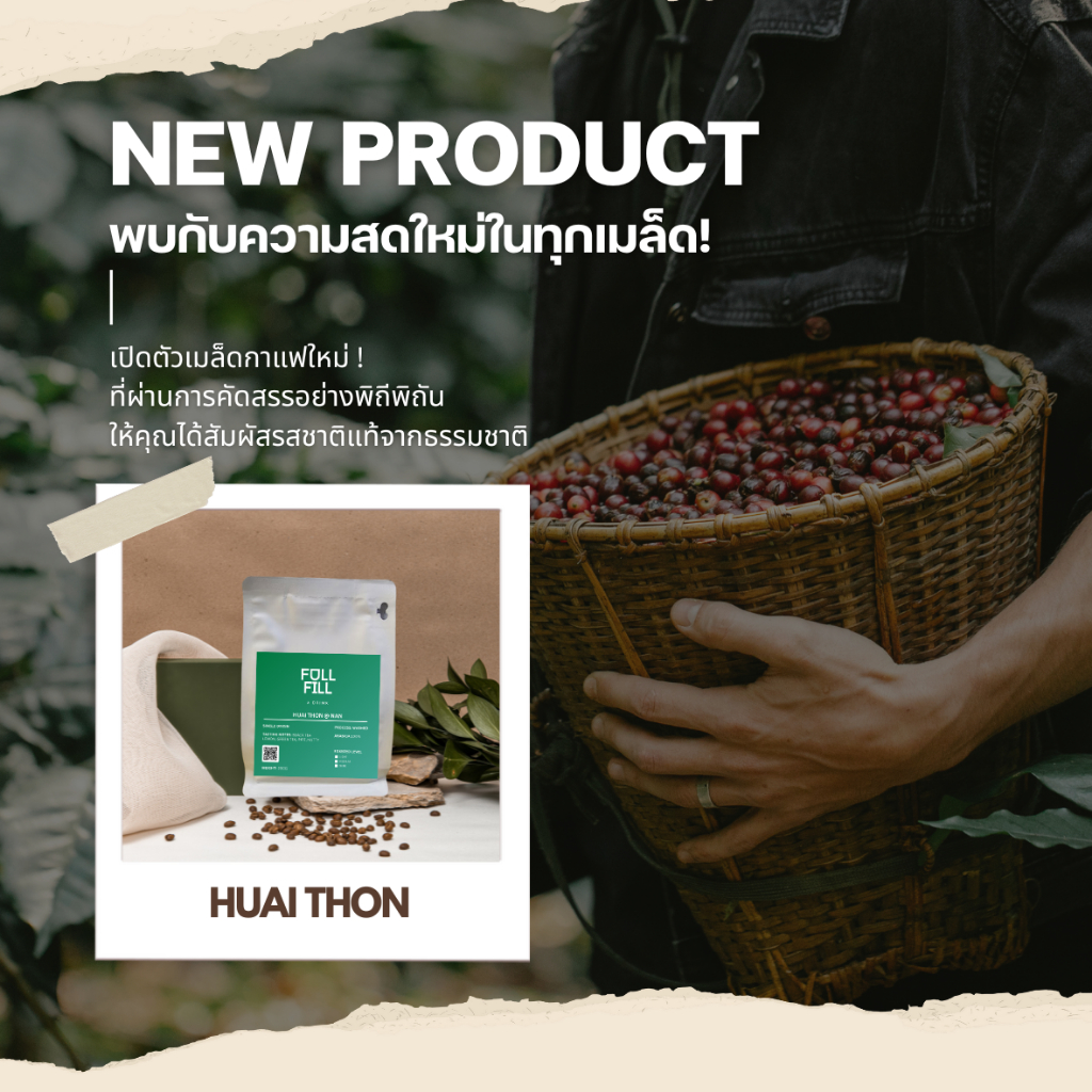 เมล็ดกาแฟ คั่วอ่อน ห้วยโทน จ.น่าน Single Origin