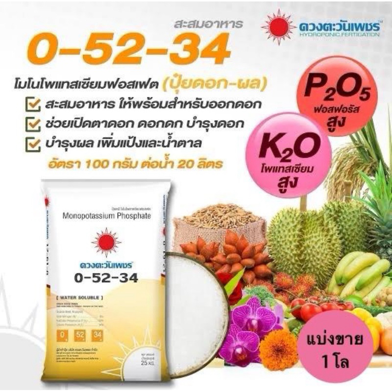 0-52-34 ดวงตะวันเพชร แบ่งขาย1กิโล (บรรจุใส่ถุงซิป)  สูตรสำหรับ #สะสมอาหาร #เปิดตาดอก เหมาะกับทุเรียน พืชที่กินผลทุกชนิด
