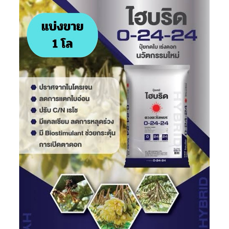 ไฮบริด 0-24-24 แบ่งขาย 1โล(บรรจุใส่ถุงซิป )ปุ๋ยดวงตะวันเพชร ปุ๋ยนวัตกรรมใหม่ #ปุ๋ยกดใบ #เร่งดอก สูตร