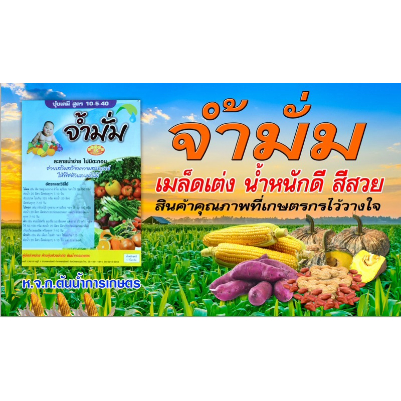 ปุ๋ยเคมี 10-5-40 (จ้ำมั่ม) เสริมสร้างความสมบูรณ์ให้พืชหัวและผลไม้ ละลายน้ำง่าย ไม่มีตะกอน