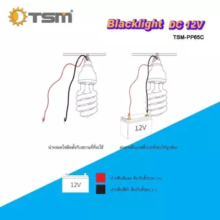 หลอดไฟดักแมลง คีบแบต DC12V ไฟแบล็คไลท์ หลอดไฟล่อแมลง ไฟ แสงสีม่วง Black Light หลอดไฟ รุ่น TSM-PP65C